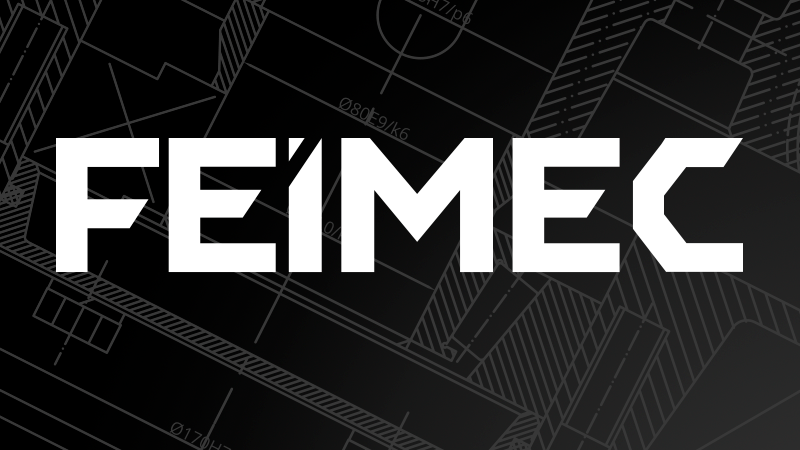 Feimec 2028